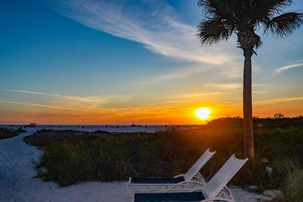 Treasure Island House | 1 - Seahorse Cottages