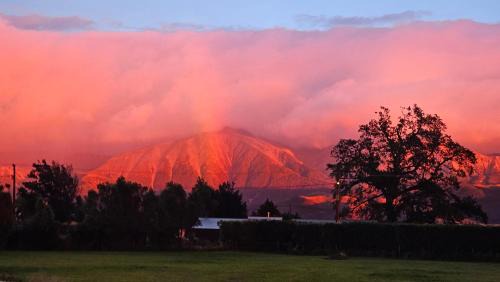 Springfield Bed & Breakfast | Bahara Accommodation