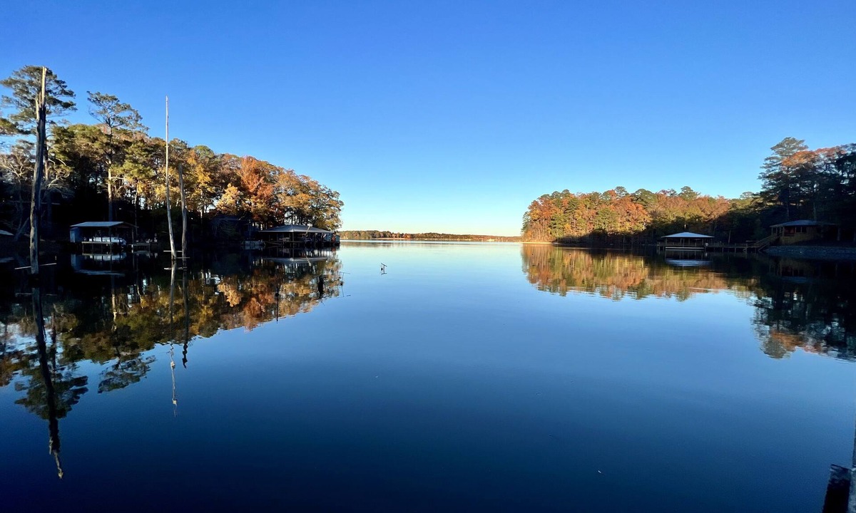 Downsville Cabin | Cozy Cabin with Screened Porch and Fishing Dock on Lake D'Arbonne