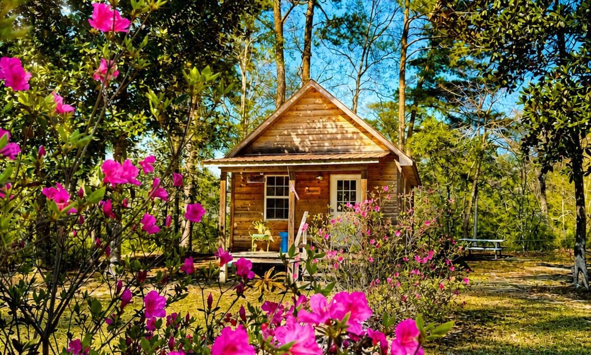 Perkinston Cabin | Cozy Creekside Cabin Retreat on the creek with 2 beautiful private sandbars!
