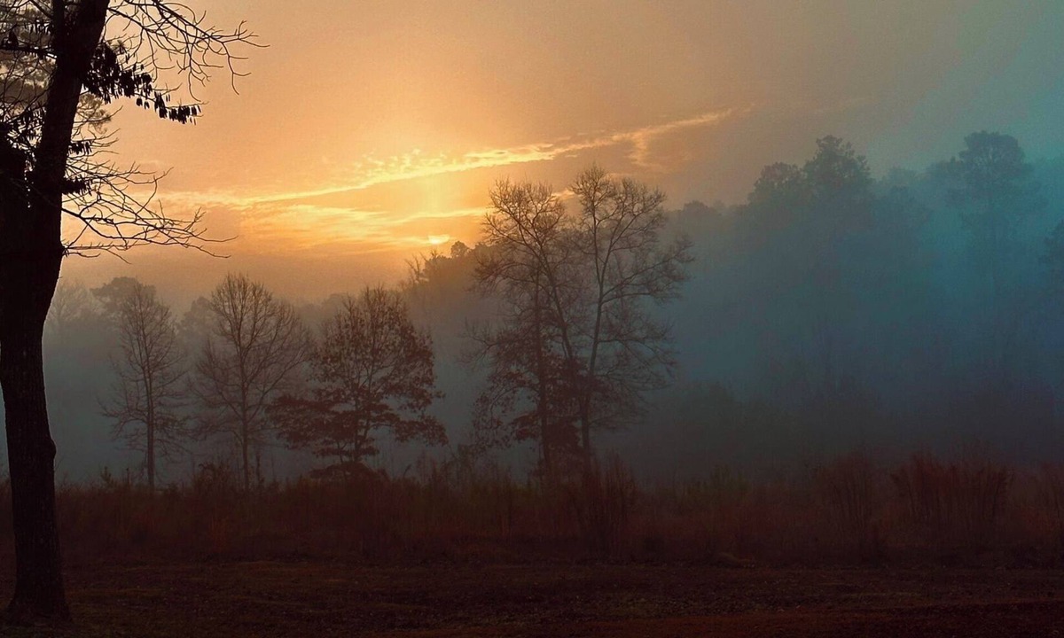 Arkadelphia Cottage | Escape to the peaceful, Cottage 3:12 at Suttle Ridge in Arkadelphia, AR