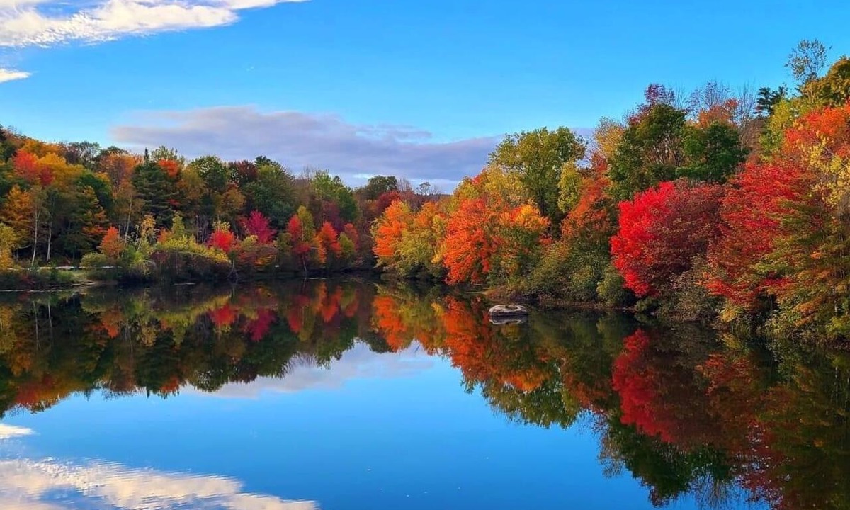 Grantham House | Gorgeous Peak Foliage Views! Spacious Family Home near Eastman Lake