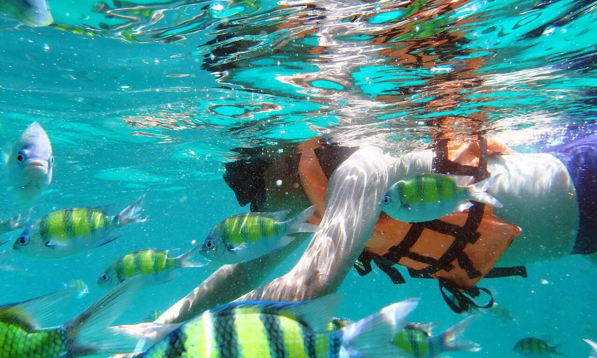 Ko Phi Phi Resort | Phi Phi Holiday Resort
