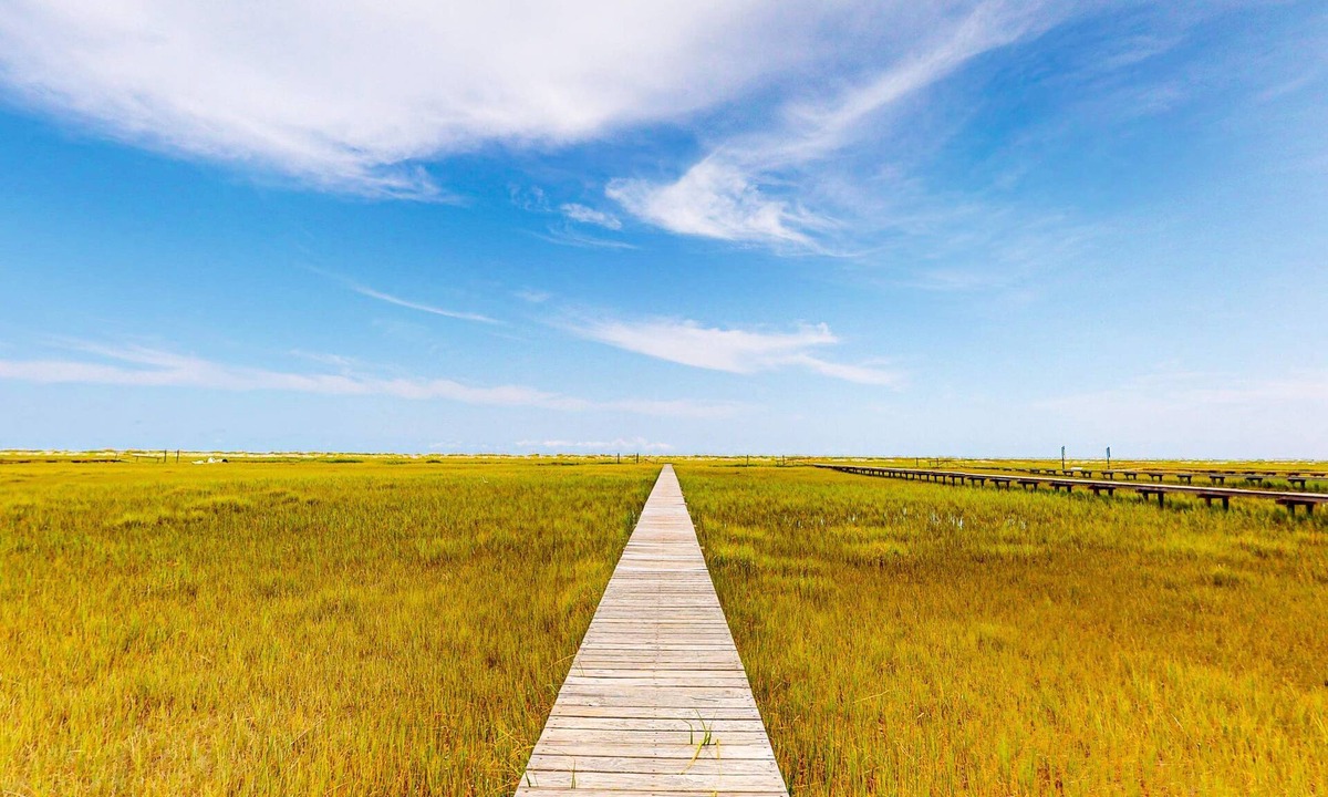 Edisto Island House | Pink Bird Cottage
