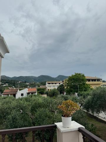 Acharavi Apartment | Villa Sofia