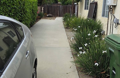 North Hollywood House | Back House 2-bedroom in Quiet NOHO District