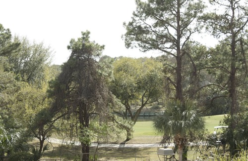 Palmetto Dunes Condo | Beautiful Beachside Resort-Indoor/Outdoor Pools/Tennis/Hot Tub/WIFI