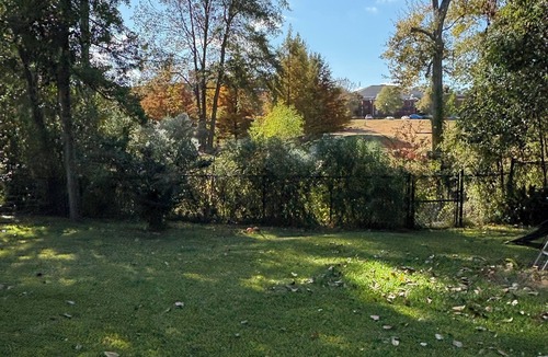 Greater Belhaven House | Beautiful Belhaven views in 3-bedroom house perfect for relaxing stay in Jackson