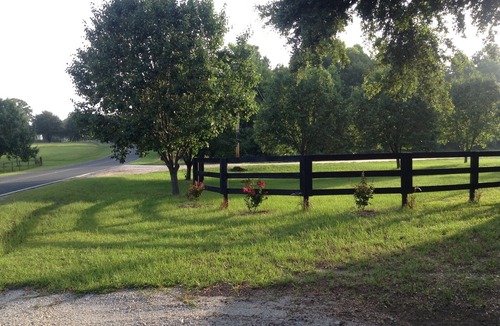 Aiken House | Beautiful, PET FRIENDLY Country Cottage! In 302 horse corridor