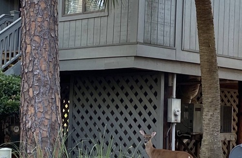 West Beach Cottage | BEST LAGOON LOCATION! WALK TO BEACH! FREE POOL!