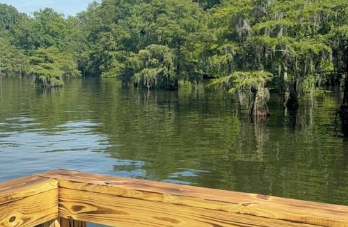 Eutawville House | Boogs Cabin at Lake Marion - The perfect cozy place to fish, play and recharge.
