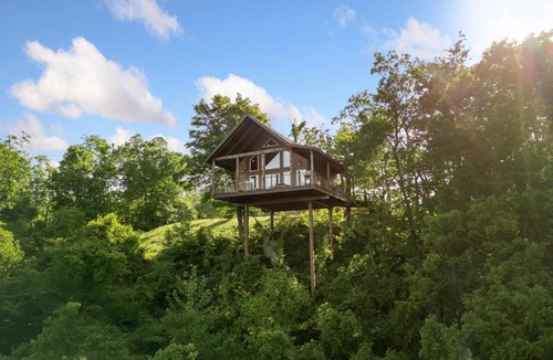 Jasper House | Canyon View Treehouse- Relaxing Getaway in Jasper with an Amazing View