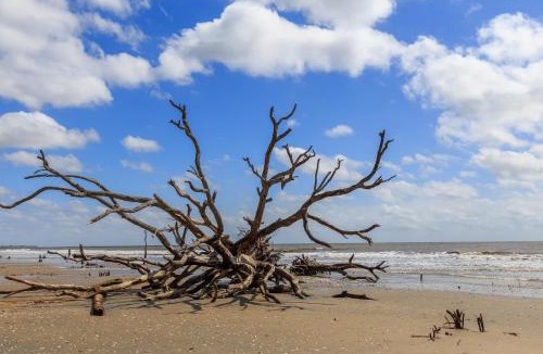 Folly Beach House | Charleston Oceanfront Villas 110