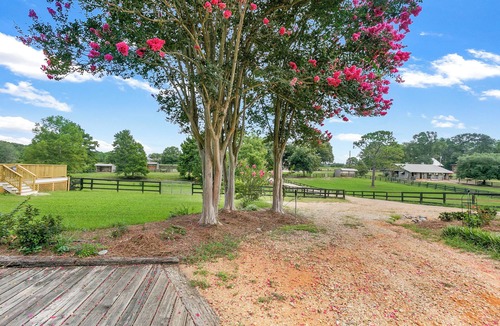 Folsom Cottage | Charming 2-bedroom cottage in lovely Folsom with WiFi, AC and gorgeous views