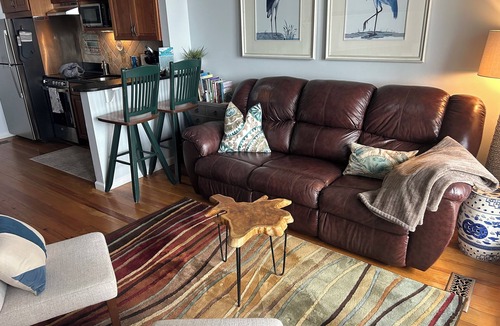Saint Helena Island House | Coastline Cottage with Breathtaking Ocean Views On Fripp Island Wi-Fi, Golf Cart