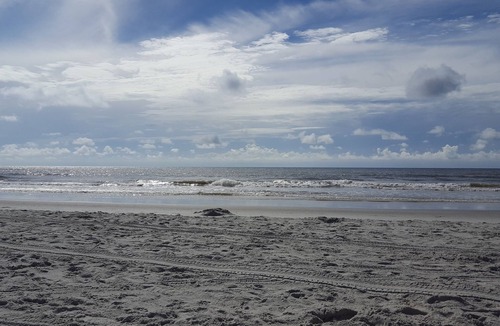 Palmetto Dunes Condo | Convertible studio/Sleeps 4 - ONLY 8/1/26 thru 8/7/26, 8/8 Checkout!
