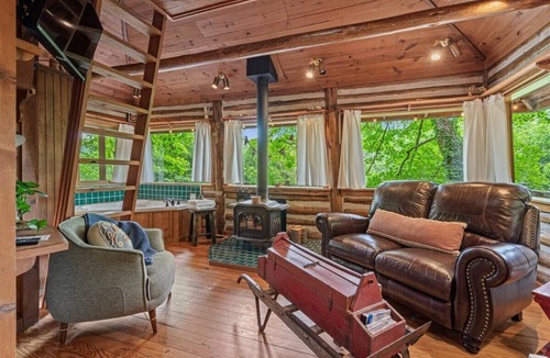 Eureka Springs Cabin | 🐠COZY LAKEVIEW CABIN🌲 - Jetted Tub, Fireplace, WiFi + 3 miles to Dwtn Eureka
