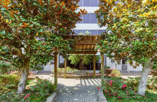 Kenner - Louis Armstrong International Airport Hotel | La Quinta Inn & Suites by Wyndham New Orleans Airport