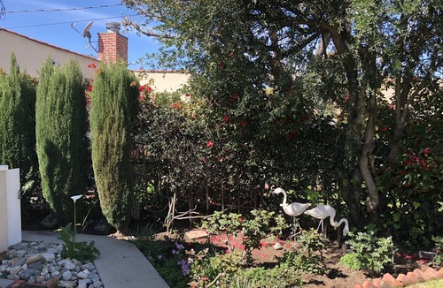 Pico - Robertson House | Los Angeles 1 bedroom/1 bath bungalow house
