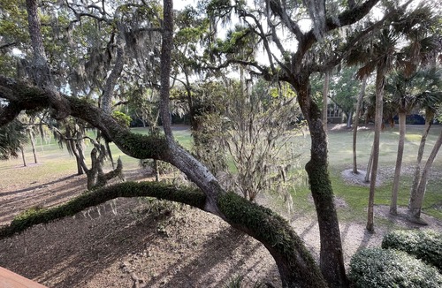 Ocean Ridge House | New rental overlooking Plantation Course 9th tee box. 1500 sq feet, smoke free.