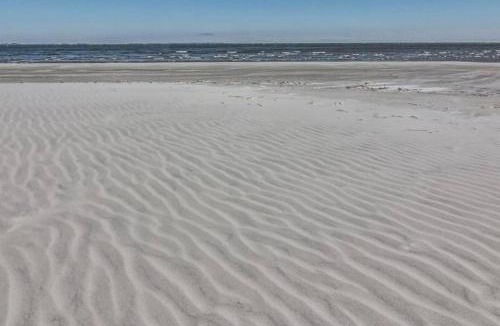 Oceanmarsh Subdivision House | Pelican Point Unobstructed Beach Views Beach Access out back door!