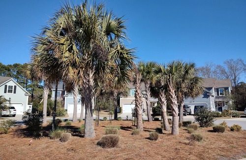 Palmetto Dunes House | Recently Built House! Pets Stay Free! Close to Amenities - STR Permit #029405