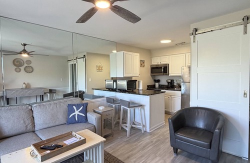 North Forest Beach Condo | True Oceanfront & Across from Coligny! Walk Everywhere!