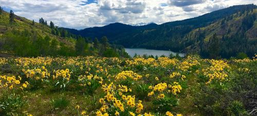 Twisp Hotel | Twisp River Suites