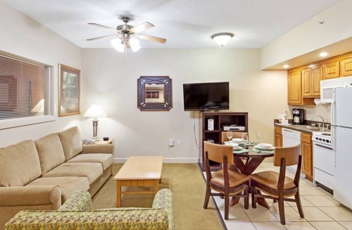 Pittman Center House | Ultimate Escape! 2 Amazing Units in Nature Setting, Near Little Pigeon River