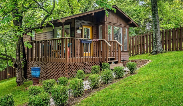 1 Bedroom Cabin In The Woods, Covered Porch, Jacuzzi, Kitchen & Hot Tub.