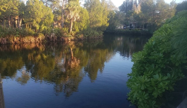 4BR Home with Private Dock on Warm Spring Fed Canal with Gulf Access in Hudson