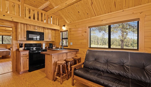 Barnwell Mountain Cabins #2: Cabin/Tiny Home w/loft in Gilmer across from BMRA