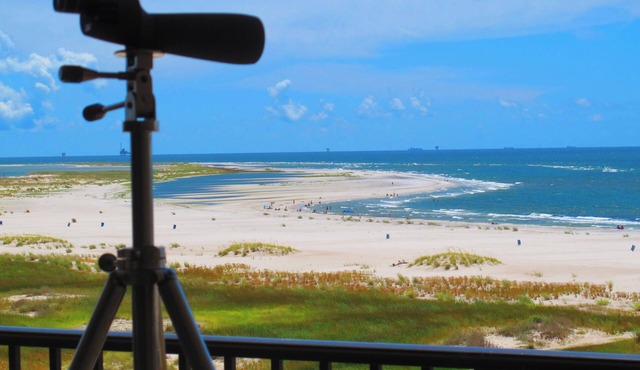Beachfront, indoor/outdoor pools. Best view on Gulf Coast! NO FEES OF ANY TYPE. in Dauphin Island