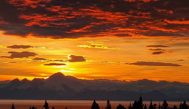 Bluff Hideaway in Homer