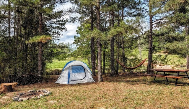 Brookside Tent Site #5 at Ouachita Campground at Edendell