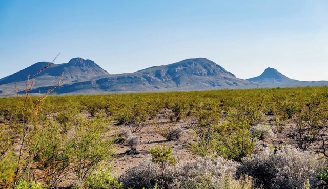 Camp Eldorado in Terlingua