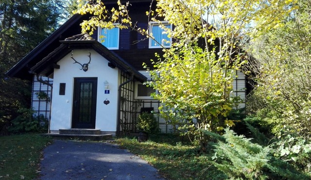 Comfortable, centrally located vacation home, 500 meters from the aerial cableway/ski slope in Mitterstoder