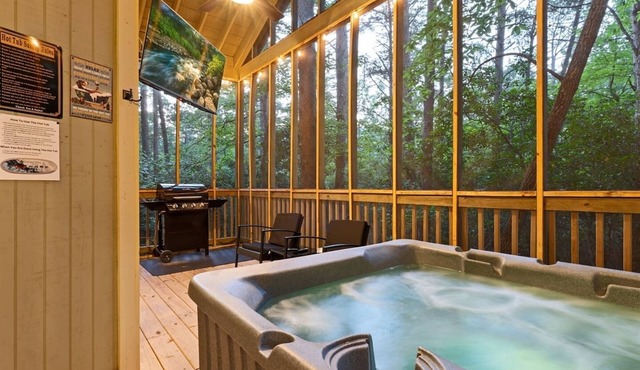 Couples Cabin | Screened Hot Tub, Outdoor TV & King Bed · Near Helen, GA in Sautee Nacoochee
