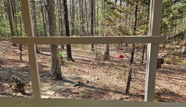 Cozy 1-bedroom apartment in adorable Hot Springs Village with AC