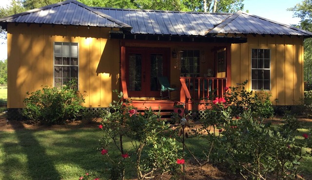 Cozy 1-bedroom cottage in beautiful Perkinston located on a peaceful farm.