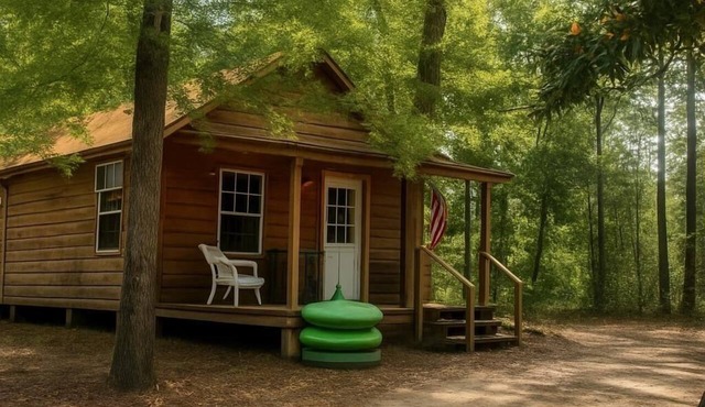 Cozy Cabin on the Creek with 2 private sandbars