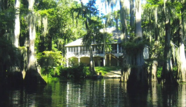Elegant WATERFRONT home with private boat ramp/dock, elevator, & unmatched view!