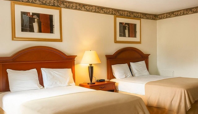 Excellent Choice! 4 Budget-Friendly Units Near Zoo America, FREE Breakfast! in Palmyra
