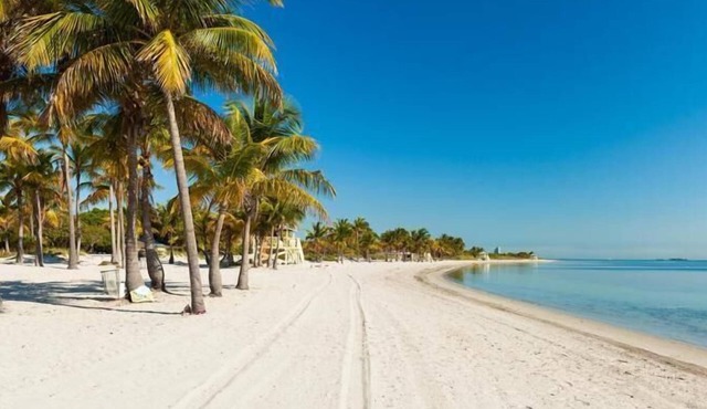 Fantastic Adventure In Key Biscayne! Outdoor Swimming Pool, Steps To The Beach in Key Biscayne