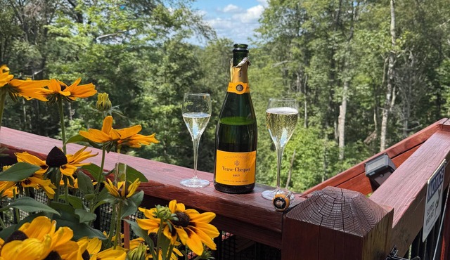 Free EV charging, loft, views, hot tub, pets, private, 2 beds, firepit & deck in Beech Mountain