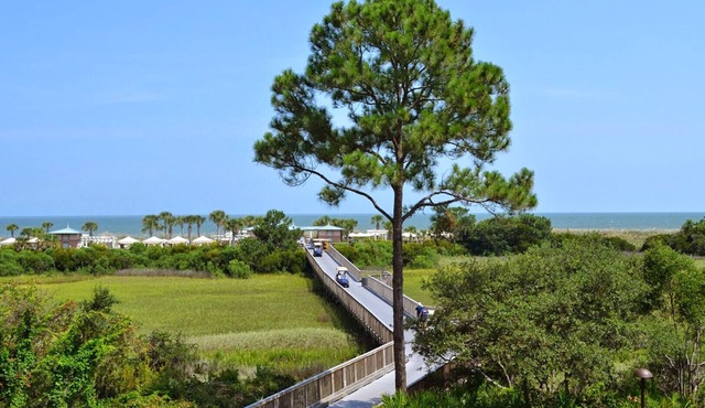 Garden View - 2 Bedroom - Marriott's SurfWatch - Full Resort Access