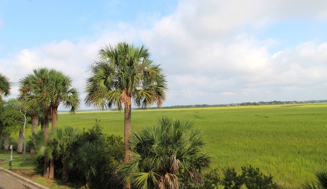 Lovely Long Term Rental~ Marsh Nest