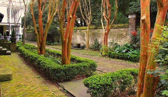 Mid 1700s Carriage House W/Courtyard, Gated Parking, And A Full Kitchen
