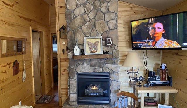 Quality Time at a LilyBear Cabin in Heber-Overgaard