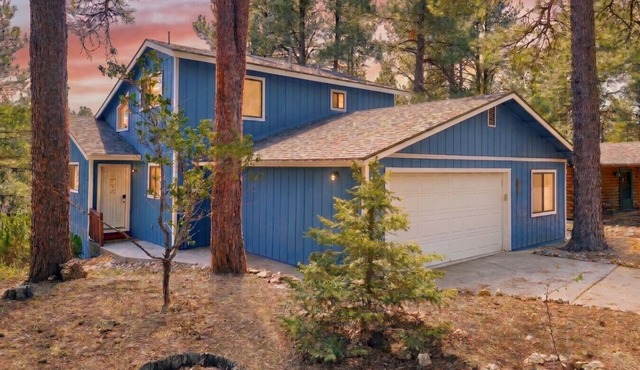 Quiet Hilltop Cabin ~AC! ~Forest Views! Fire Table!